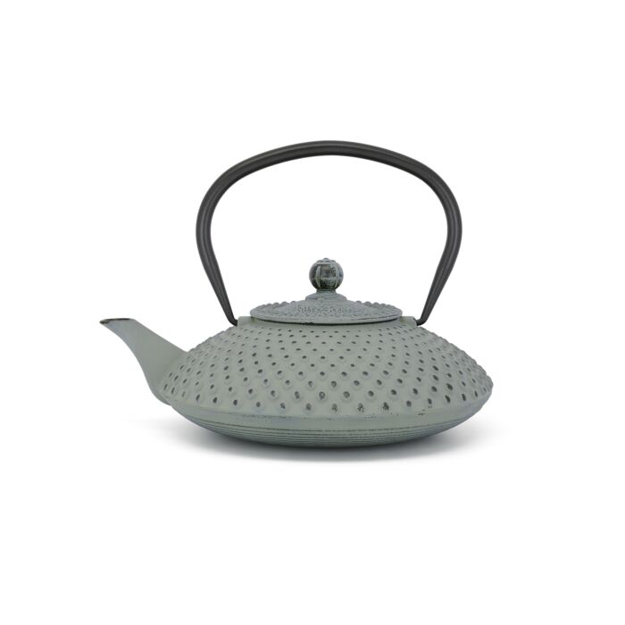 bredemeijer Teapot Xilin 1.25L cast iron light green