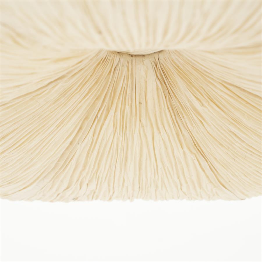 By Boo Pendant Lamp Lokta 2