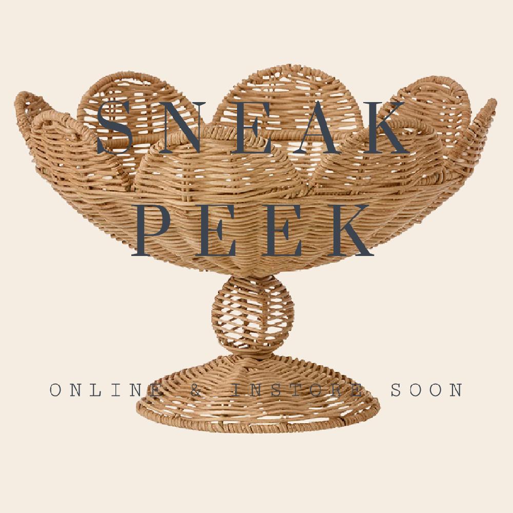 by nord schaal op voet - rotan