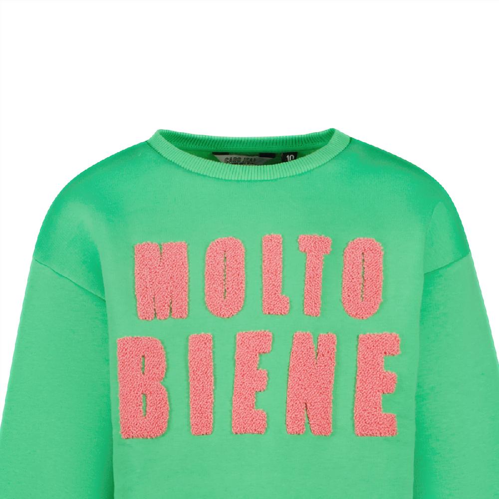 Cars Jeans Sweater Lyncy Jr