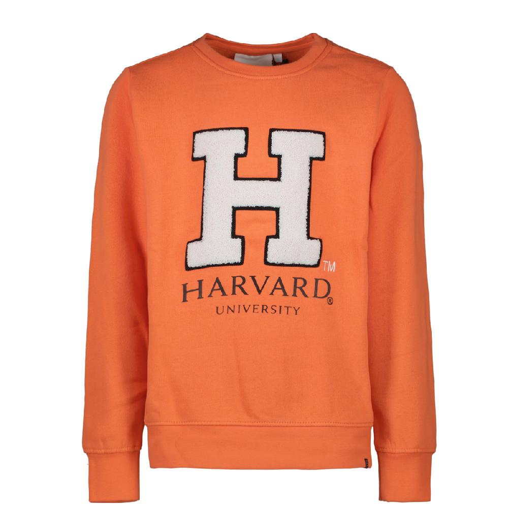 cars jeans Sweater Maley