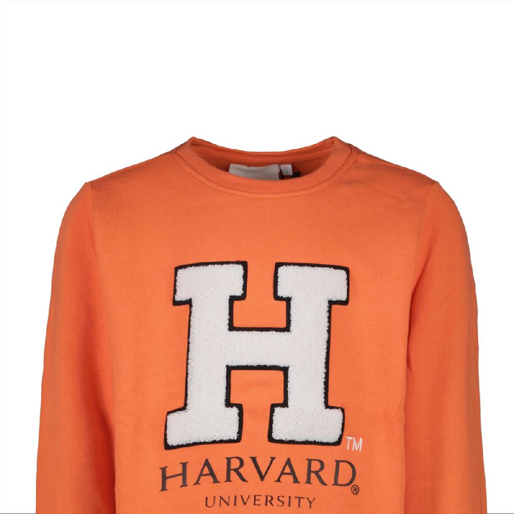 Cars Jeans Sweater Maley