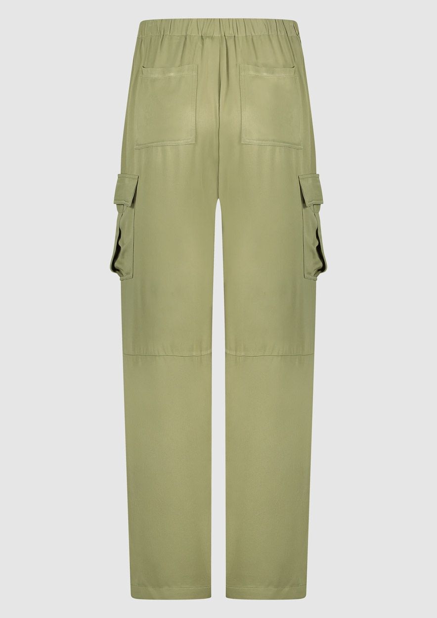 Circle Of Trust Celina Pants Aloe