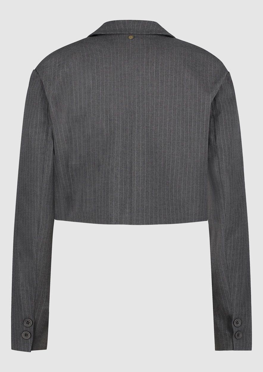 Circle Of Trust Laura Blazer Dark Grey Stripe
