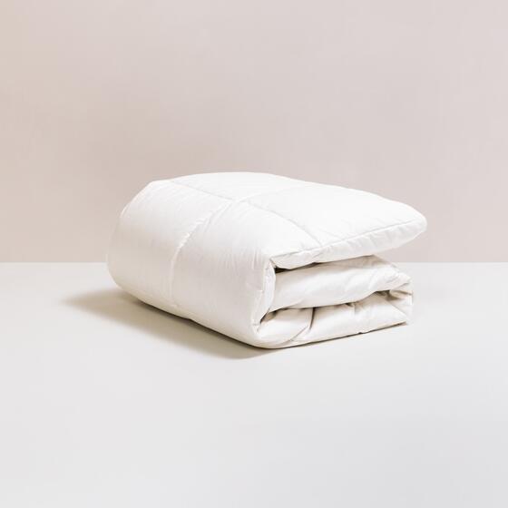 clarysse GUS - all-seasons dekbed Dekbed van 100% ganzendons
