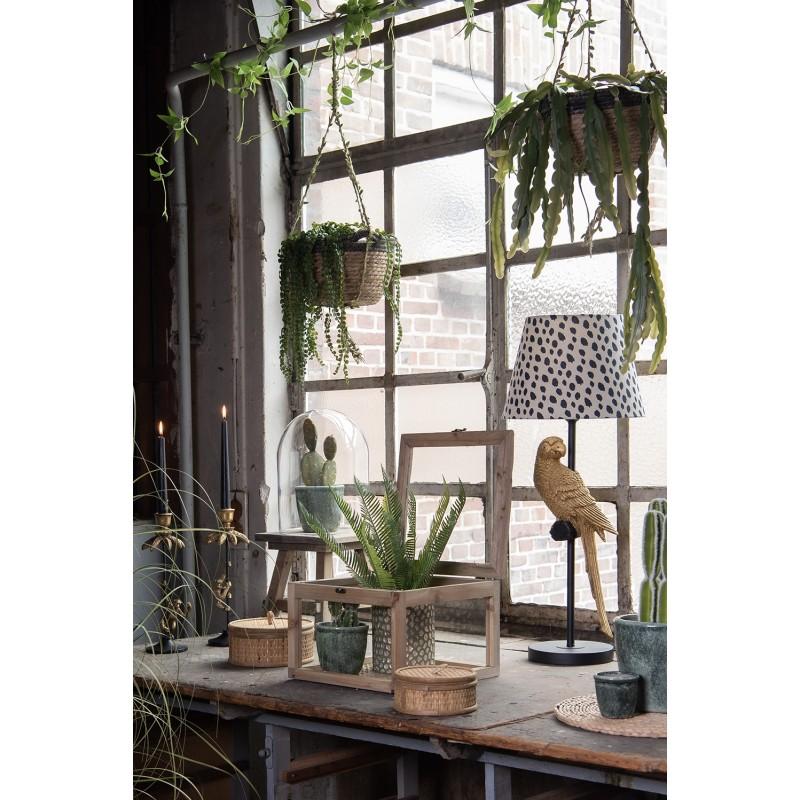 Clayre & Eef 6LMC0032 Tafellamp Papegaai Ø 25x51 Cm Beige Zwart Kunststof Rond Bureaulamp