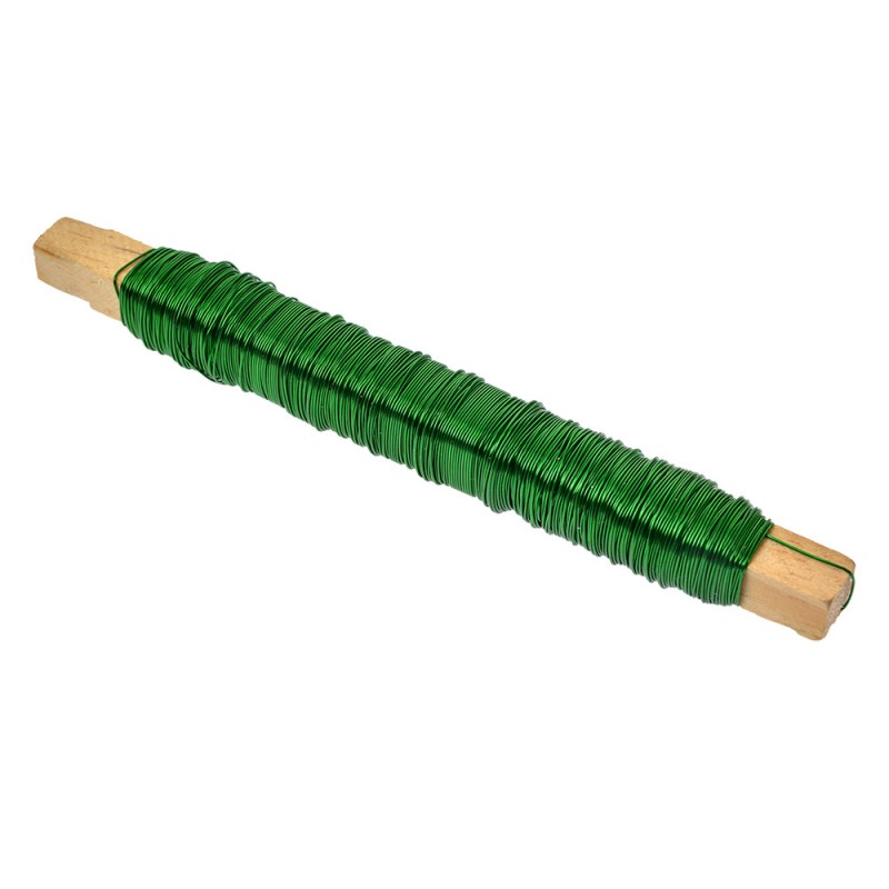 clayre & eef 66214 Ijzerdraad 50 m Groen IJzer