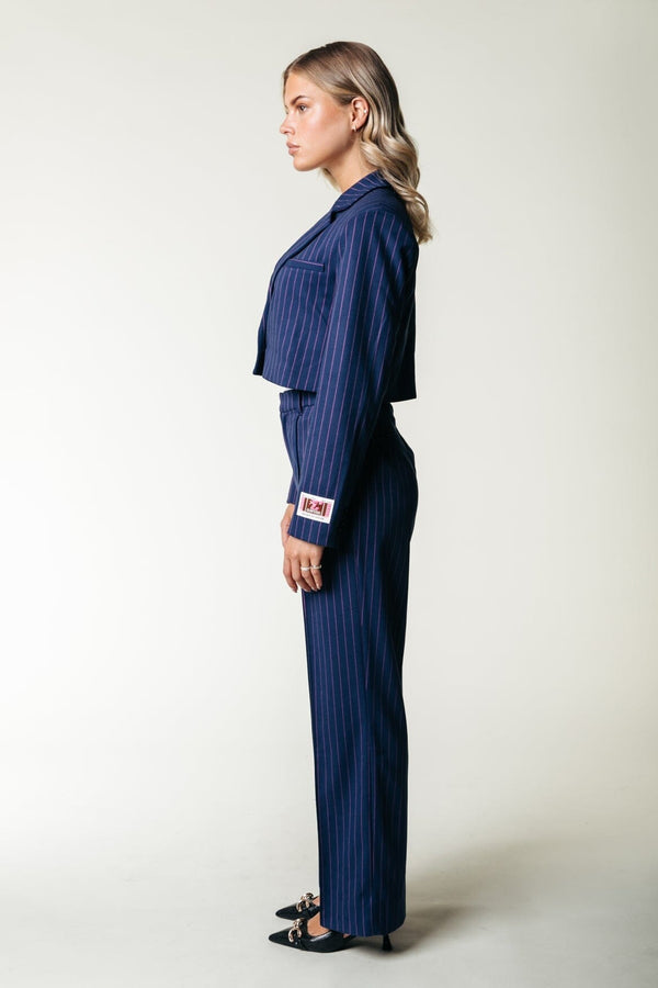 Colourful Rebel Rus Pinstripe Straight Pants