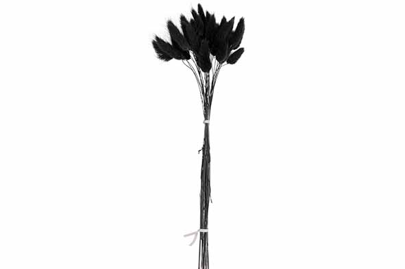 cosy & trendy BOEKET CAT TAILS ZWART 10X10XH60CM KRAFT PAPER BAG