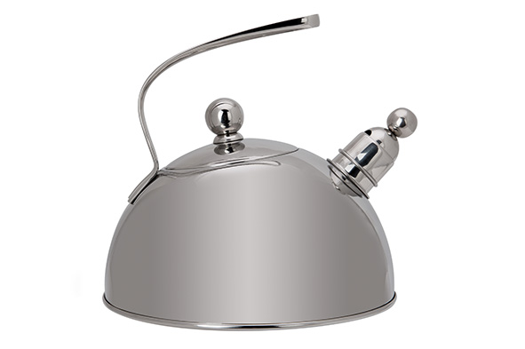 cosy & trendy CLASSIC FLUITKETEL INOX 2 5L D22XH23CM R OESTVRIJ STAAL