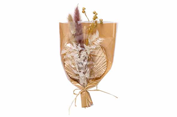 cosy & trendy BOEKET DRIED FLOWERS NATUUR 12X5XH25CM