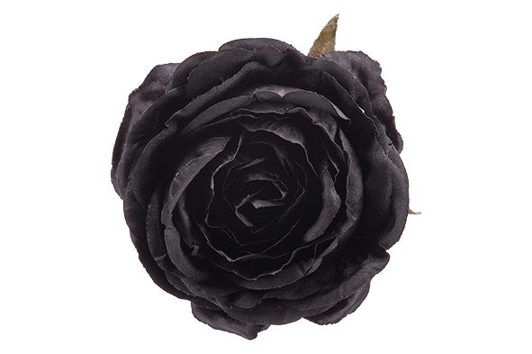 cosy & trendy CLIP ROSE ZWART 9X9XH5CM KUNSTSTOF