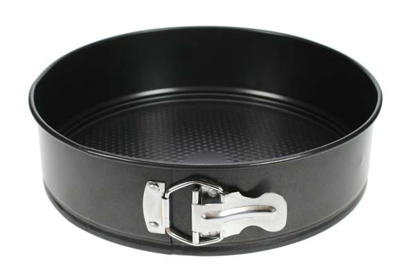 cosy & trendy CO&TR SPRINGVORM D25 5CM NON-STICK