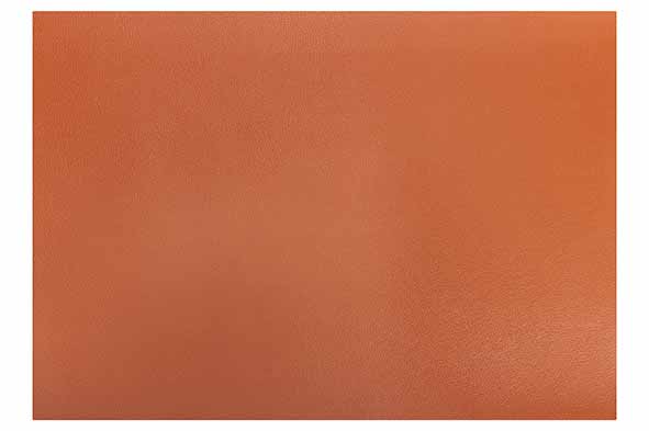 cosy & trendy PLACEMAT LEDER ROOD-BRUIN 43X30CM