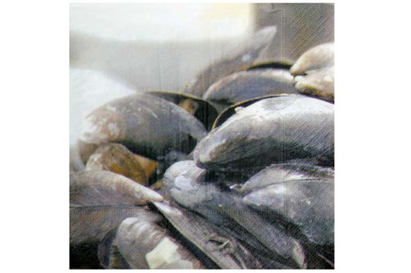 cosy & trendy SERVIETTEN MOSSELS SET20 33X33CM