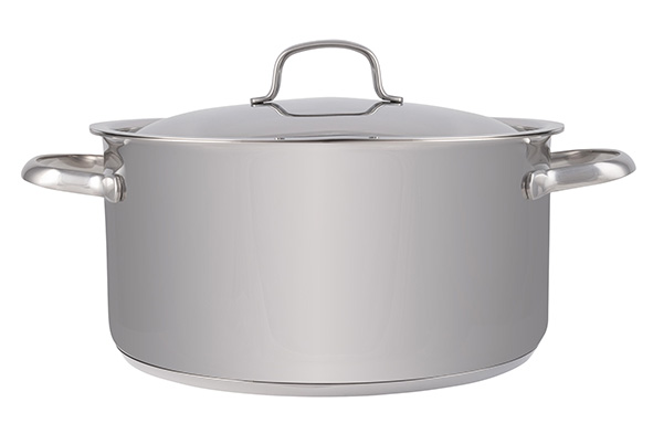 Cosy & Trendy DAILY KOOKPOT MET DEKSEL D24XH12CM ROESTVRIJ STAAL 5L