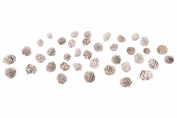 cosy & trendy DENAPPEL 140GR WHITEWASH BRUIN D3 15X4XH 20CM