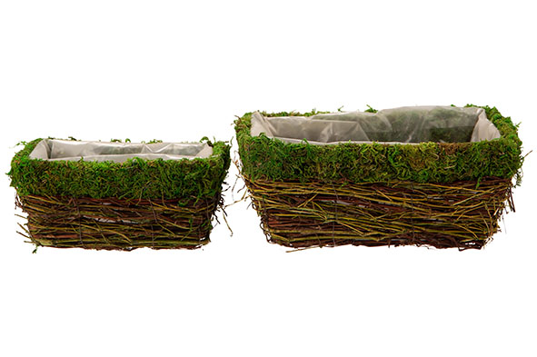 Cosy & Trendy MAND SET2 RATTAN-GRASS 22X13X10CM NATUUR 27X17XH12CM RECHTHOEK