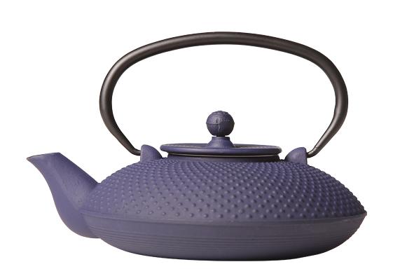 cosy & trendy NARA THEEPOT BLAUW GIETIJZER 800ML MET FILTER TSP69