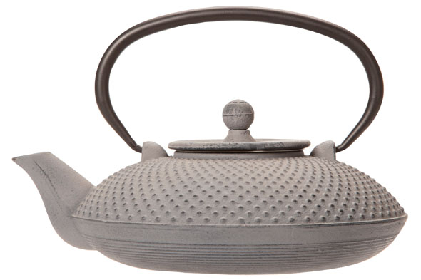 cosy & trendy NARA THEEPOT GRIJS GIETIJZER 800ML MET FILTER TSP69