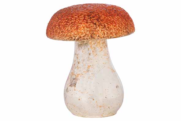 cosy & trendy PADDENSTOEL ANTIQUE GOLD KOPER 10X10XH13 CM GLAS