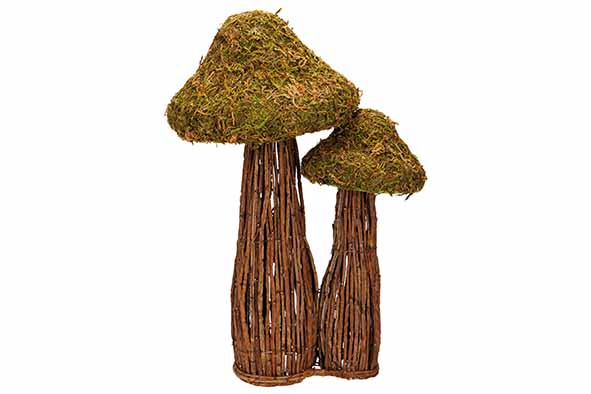 cosy & trendy PADDENSTOELEN BRANCHES MOSS BRUIN 31X23X H46CM HOUT