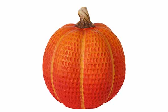 cosy & trendy POMPOEN BICOLOR ORANJE 15 5X15 5XH18CM L ANGWERPIG POLYRESIN