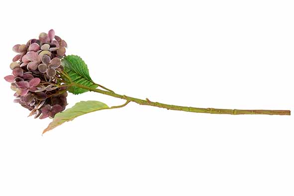 cosy & trendy TAK HYDRANGEA BORDEAUX 12X12XH55CM KUNST STOF