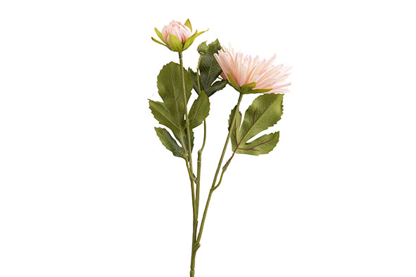 cosy & trendy TAK RANUNCULUS ROZE 13X13XH43CM KUNSTSTO F