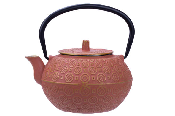 cosy & trendy TAKAYAMA THEEPOT TERRACOTTA 1 2L GIETIJZER