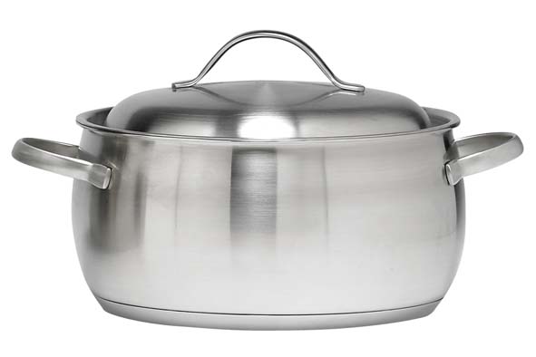 cosy & trendy THYMO KOOKPOT D24CM-H18CM 18-10 BODY 0.6 - BASE 5.7MM LID 1 - ALLE VUREN