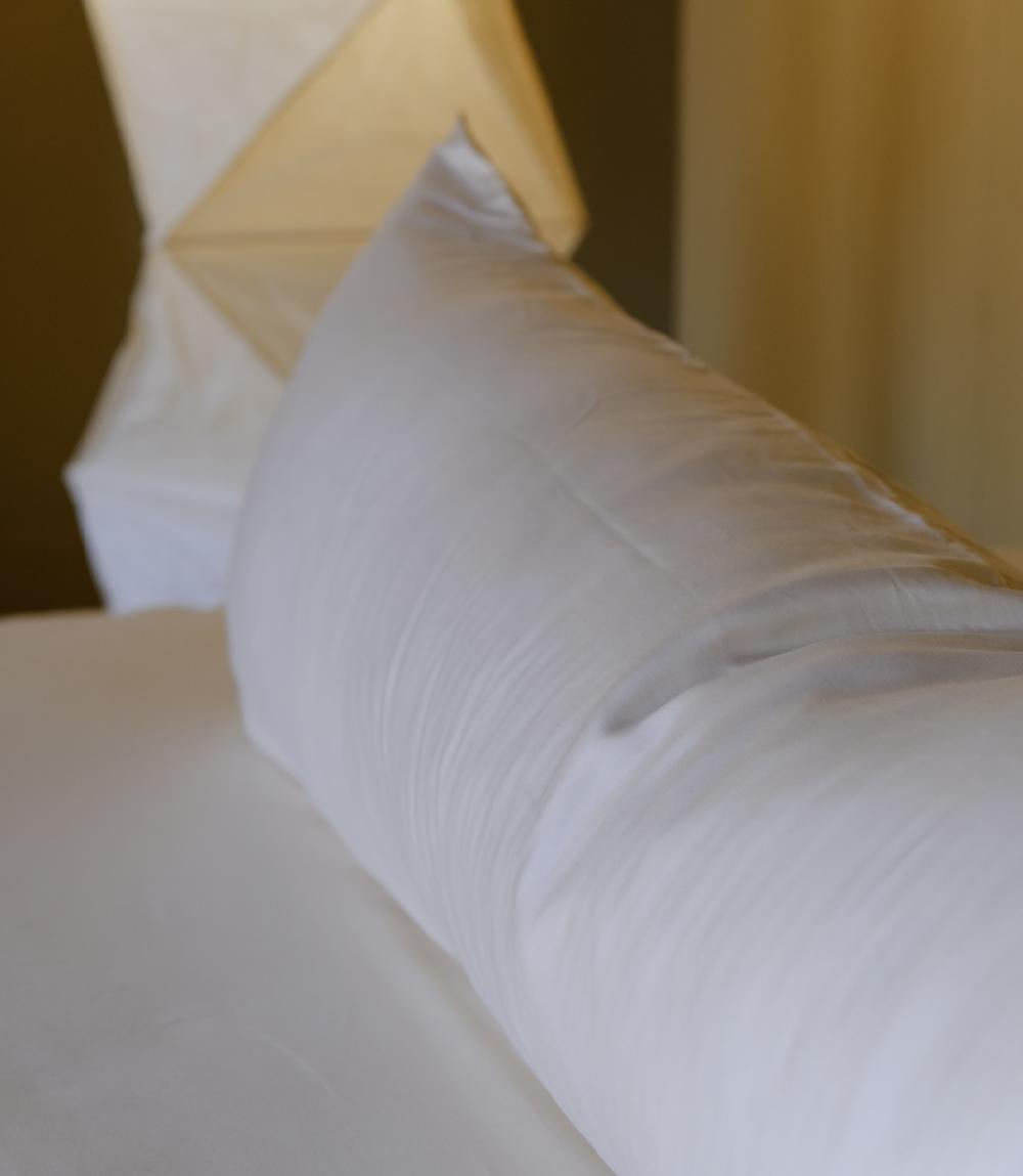 Crisp Sheets Body Pillow Hoes | Satijn Tencel™ Milk