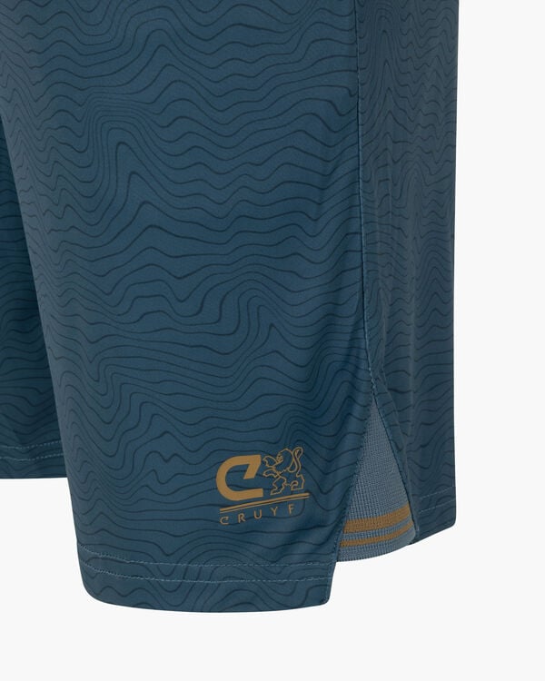 Cruyff Icon Shorts Code: CSA251034-511