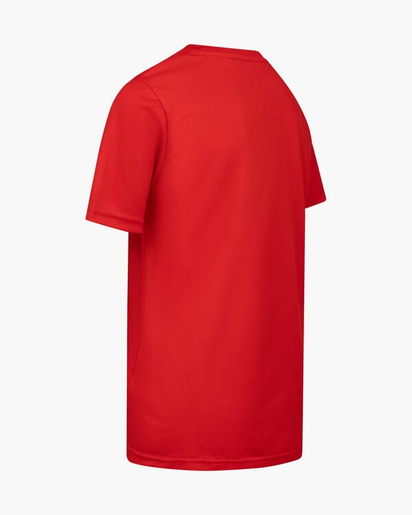 Cruyff Cruyff Training Shirt Junior Code: CT100019-300