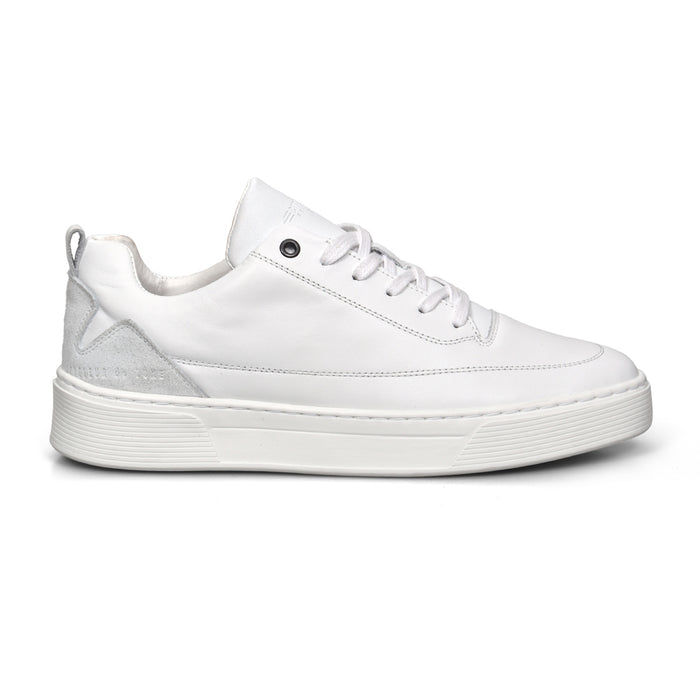 cycleur de luxe DISASTER WIT REF: CDLM251150