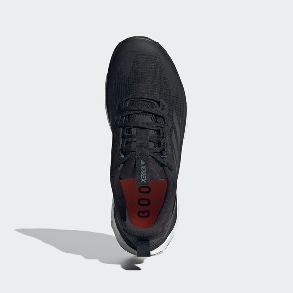 Daniel Hechter Watches ADIDAS TERREX Lage Schoen 'Free Hiker 2.0' In Zwart