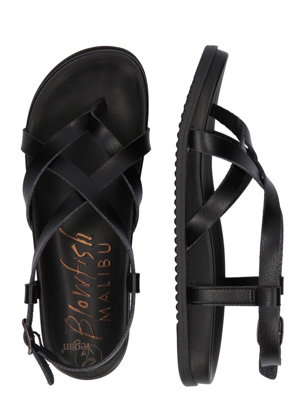 Daniel Hechter Watches Blowfish Malibu Teenslipper 'Camden' In Zwart