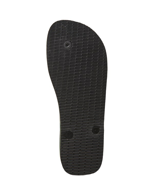 Daniel Hechter Watches HAVAIANAS Teenslippers 'Brasil' In Zwart