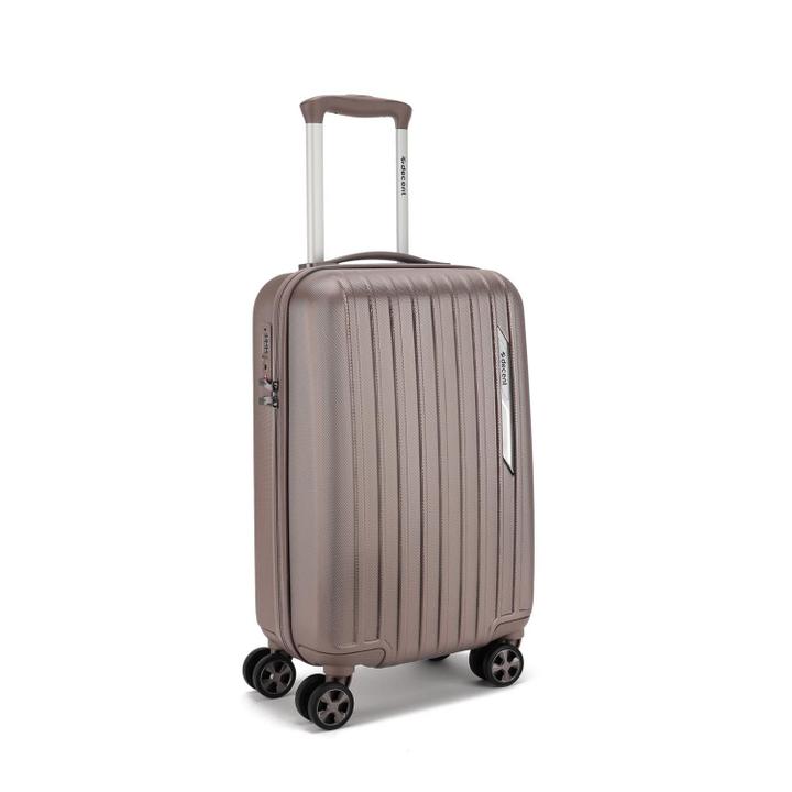 Daniel Ray Decent Paradiso Spinner 55 Champagne