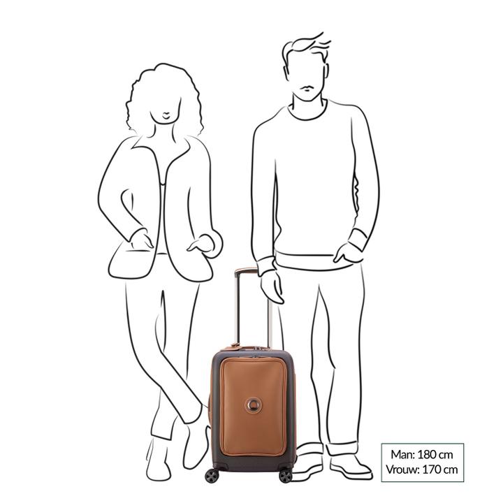 Daniel Ray Delsey Chatelet Air 2.0 Cabin Trolley 55 Angora