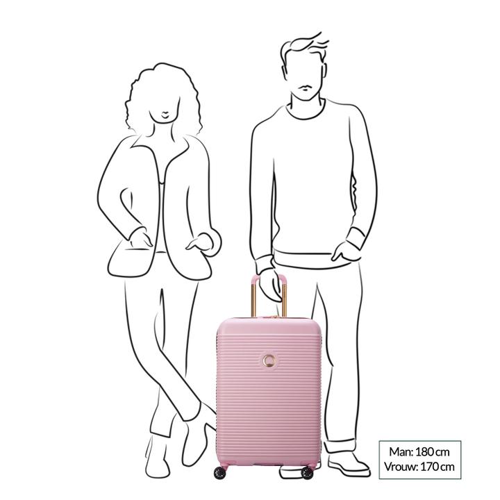 Daniel Ray Delsey Freestyle 4 Wheel Trolley 67 Paonie