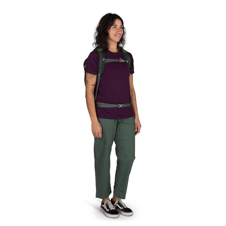 Daniel Ray Osprey Daylite Plus Green Belt/green Canopy