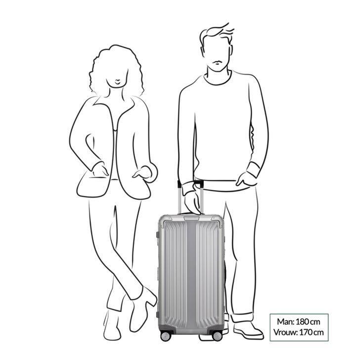 Daniel Ray Samsonite Lite-Box Alu Trunk 74 Aluminium