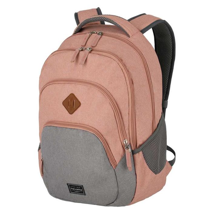 Daniel Ray Travelite Basics Backpack Melange Rose/grey