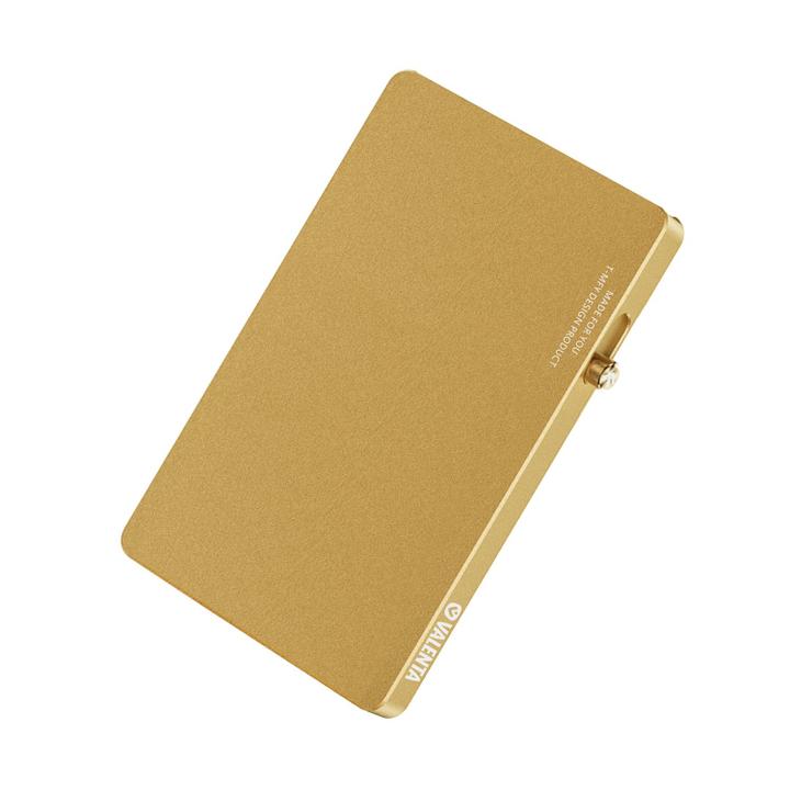 Daniel Ray Valenta Cardprotector Aluminium Magsafe Gold
