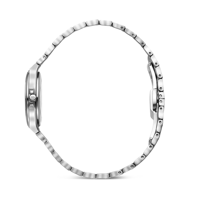 Danish Design DKx Pro Silver Husky Hazel S