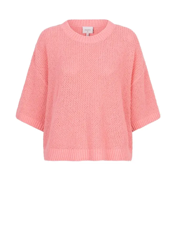 dante 6 Ajour trui Roze