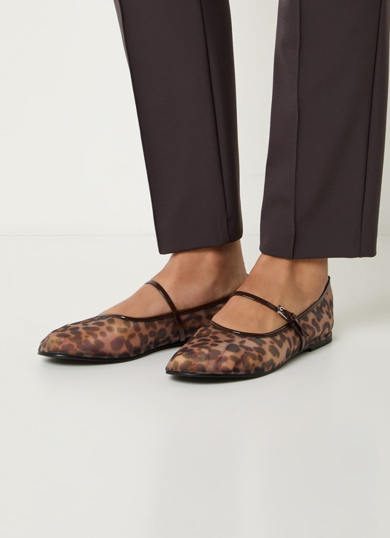 De Bijenkorf Steve Madden Donkerbruin