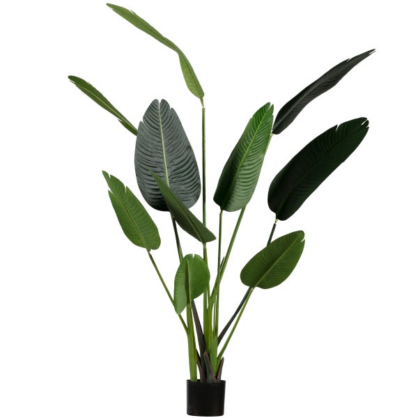 De Eekhoorn STRELITZIA KUNSTPLANT GROEN 164 CM