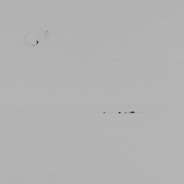 De Eekhoorn LEGPLANKEN SET T.B.V. ORGANIZE KAST 62 CM GRENEN MIST [fsc]